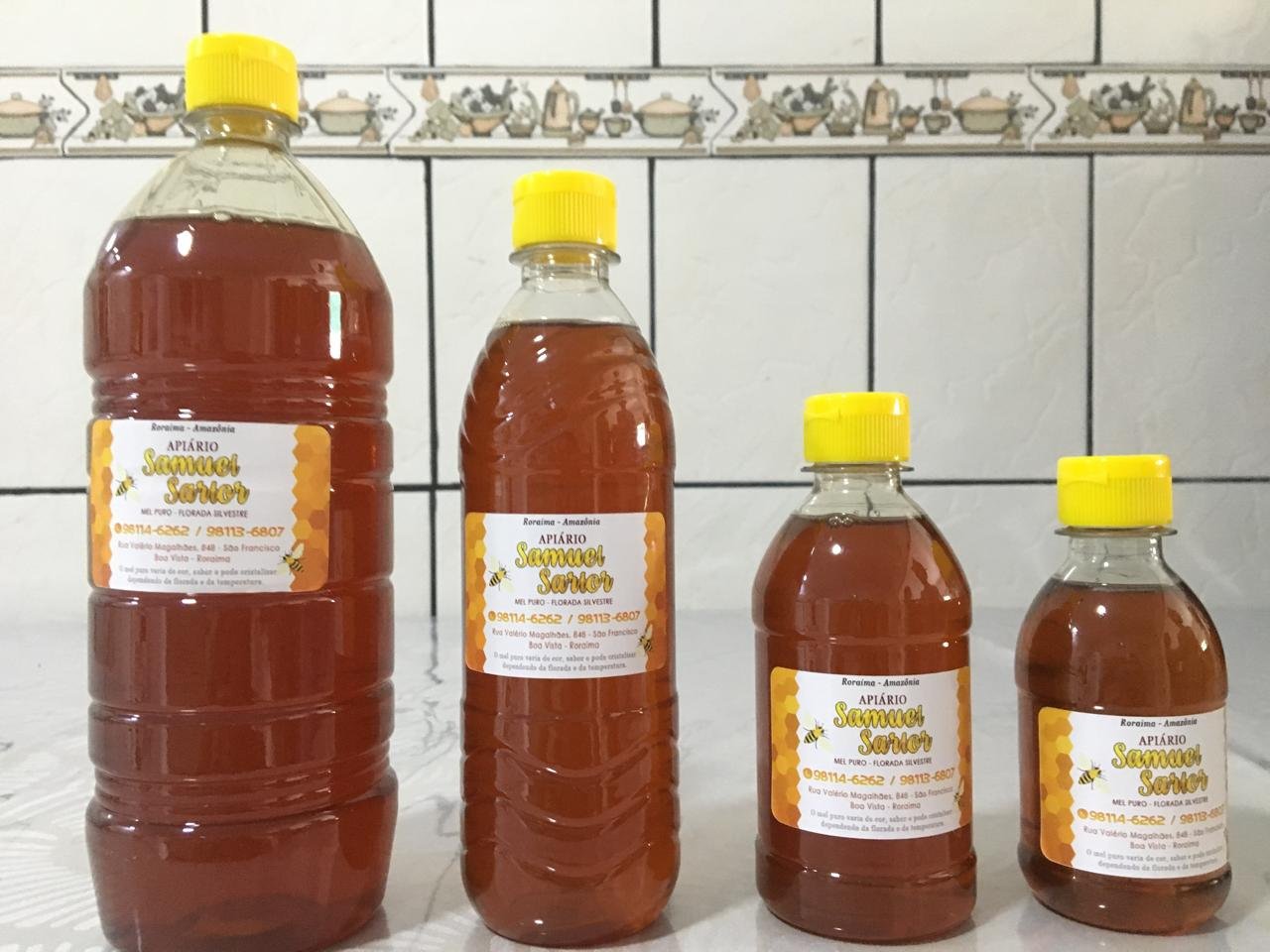 Apiário Sartor em Roraima produzindo mel orgânico